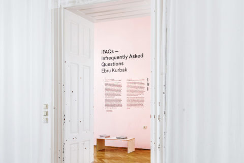 solo ohne — Infrequently Asked Questions 12