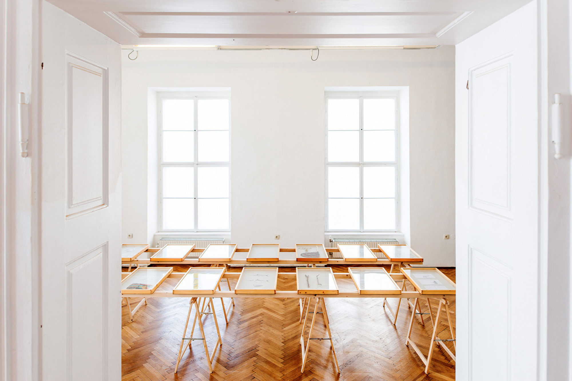 solo ohne — Infrequently Asked Questions 9