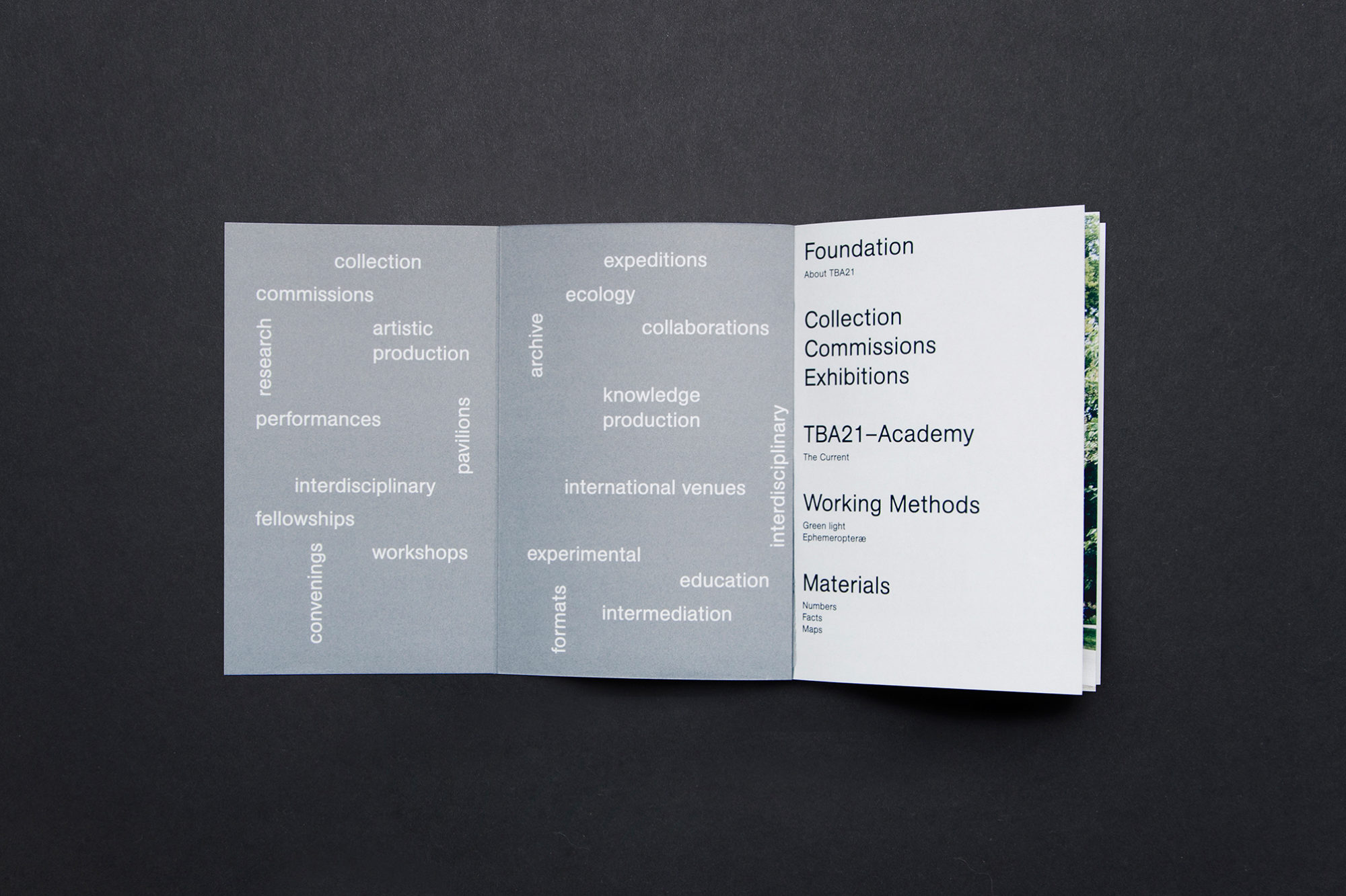 solo ohne — TBA21 Broschüre 4